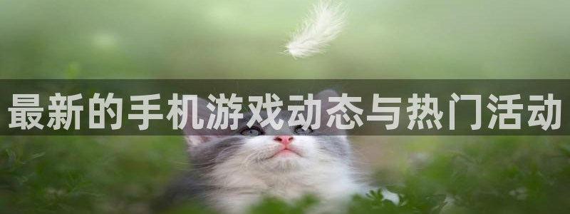 优贝娱乐主管：最新的手机游戏动态与热门活动