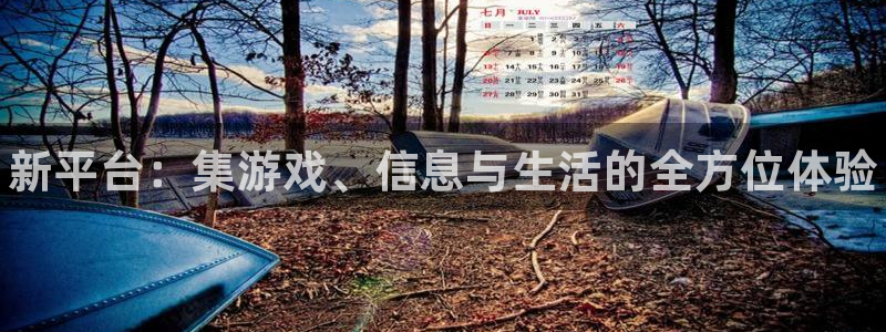 优贝娱乐：新平台：集游戏、信息与生活的全方位体验
