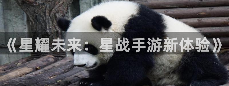 优贝娱乐平台官网登录：《星耀未来：星战手游新体验》