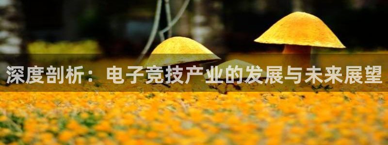 优贝娱乐代理登陆：深度剖析：电子竞技产业的发展与未来展望