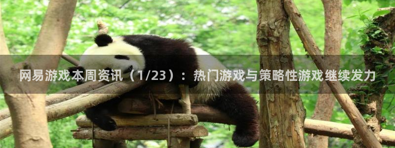 优贝娱乐app：网易游戏本周资讯（1/23）：热门游戏与策略