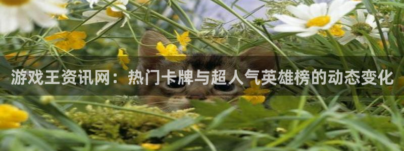 优贝娱乐官方注册登录：游戏王资讯网：热门卡牌与超人气英雄榜的